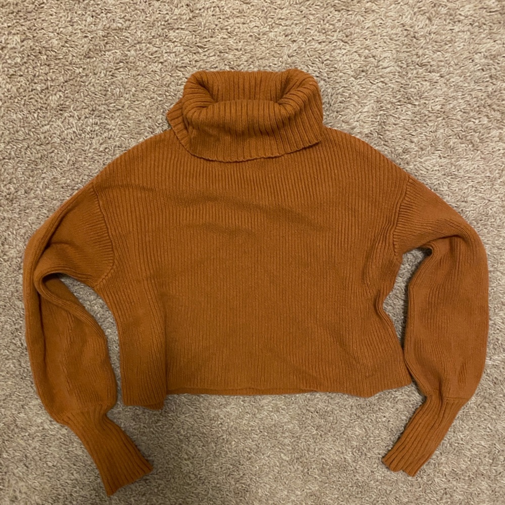 Cropped turtleneck sweater